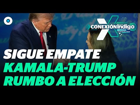 Encuestas dan empate entre Kamala Harris y Donald Trump | Reporte Indigo