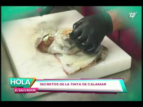 Los secretos de la tinta de calamar