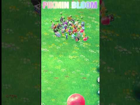 ごはんの争奪戦、ピクミンたち必死です✨ #pikmin  #pikminbloom  #ピクミン