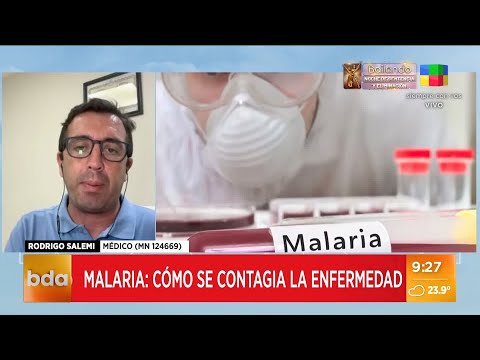Malaria: cómo se contagia la enfermedad