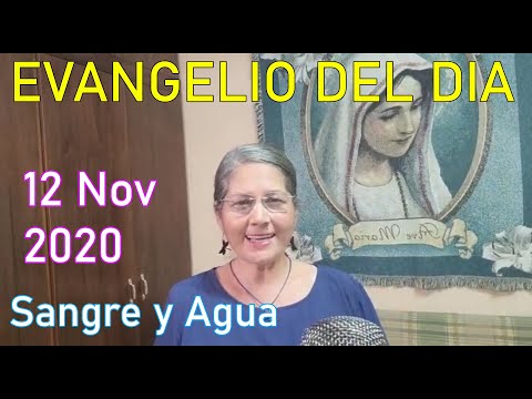 Evangelio Del Dia de Hoy - Jueves 12 Noviembre - 2020- Sangre y Agua