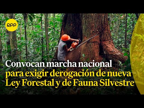 Convocan marcha nacional para exigir derogación de nueva Ley Forestal y de Fauna Silvestre
