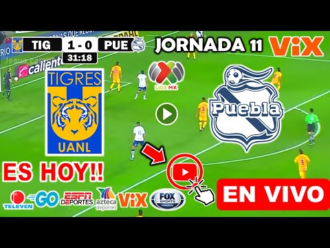 Tigres vs. Puebla en vivo, donde ver, a que hora juega Tigres vs. Puebla Jornada 11 Liga MX 2024