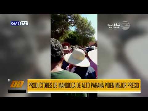Alto Paraná: Productores de mandioca piden mejor precio
