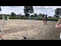 Show jumping horse Fijne 4 jarige merrie.