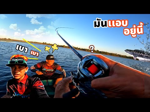 The สกาย ออกหมายตกชะโดหมายใหม่ชะโดแค่เนี้ย! The สกาย ออกหมายตกชะโดหมายใหม่ชะโดแค่เนี้ย!