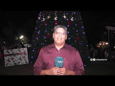 Día a Día  | José Enrique Leivas: Termas del Daymán inauguró su árbol de Navidad