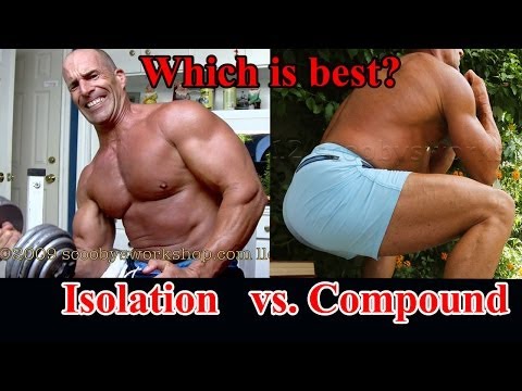 stevie blatz youtube can compound exercises build big arms tomclip stevie blatz youtube can compound exercises build big arms tomclip