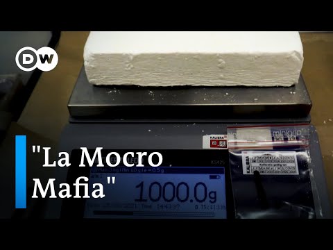 El poder de la mafia de la droga - La cocaína y los Países Bajos | DW Documental