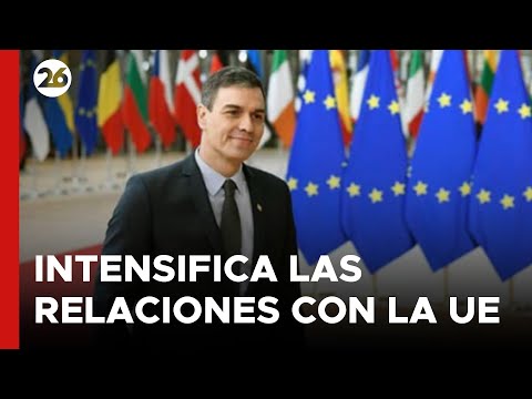 ESPAÑA | Pedro Sánchez intensifica los contactos con líderes europeos
