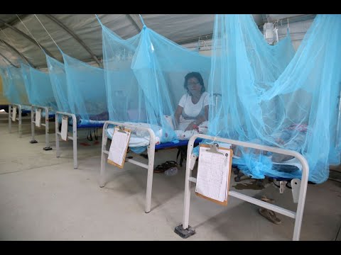 Minsa envía profesionales a Tumbes para combatir el dengue