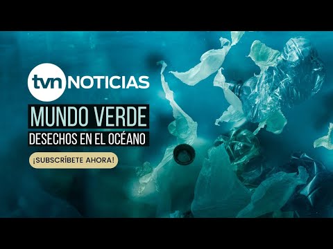 Mundo Verde: Desechos en el océano