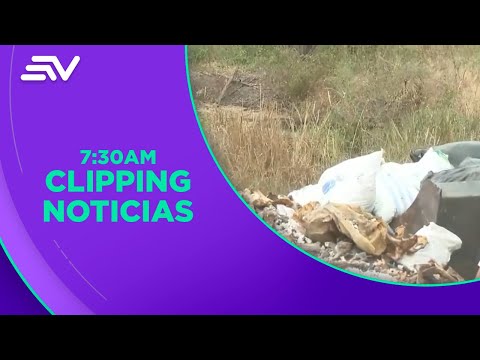 Autoridades destruyeron un camal clandestino en Guayaquil | Televistazo en la Comunidad