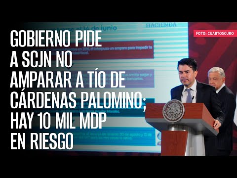 Gobierno pide a SCJN no amparar a tío de Cárdenas Palomino; hay 10 mil mdp en riesgo