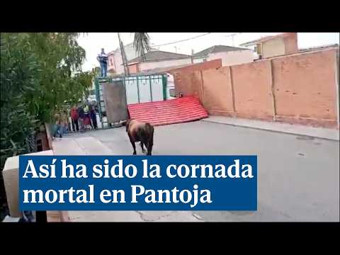 Así ha sido la cornada mortal de un toro en un encierro de Pantoja (Toledo)