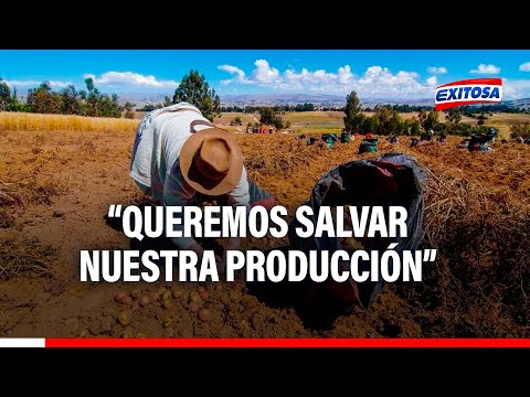 Agricultores piden al Gobierno un Reactiva Perú para salvar cultivos