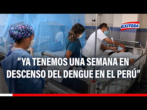 Perú habría superado el pico de dengue: Casos ya registran descenso en el país, según Minsa