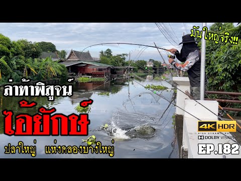 🎣🐠-We-are-Angler-EP:182-“ใหญ่ข 🎣🐠-We-are-Angler-EP:182-“ใหญ่ข