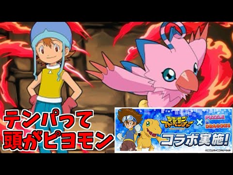 【新凶兆】空&ピヨモン～詰めが甘い～【パズドラ実況】