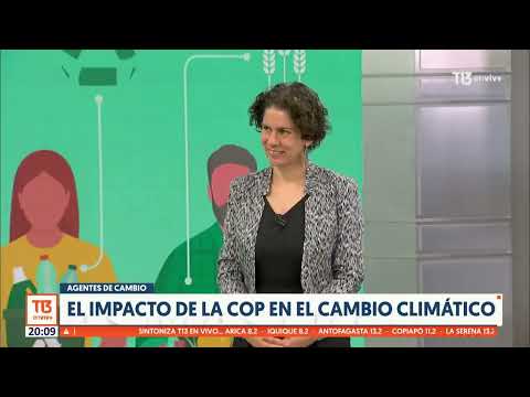 Los desafíos de Chile para combatir el cambio climático