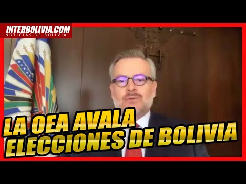 ? LA OEA AVAA LAS ELECCIONES EN BOLIVIA ?? ?