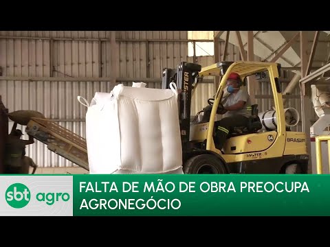 SBT Agro 26/02/24: Falta de mão de obra preocupa agronegócio brasileiro