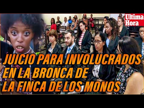 LA TV ANUNCIA QUE CONDENARÁN A LOS JÓVENES QUE ESTUVIERON EN LA FINCA DE LOS MONOS!!!