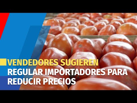 Vendedores sugieren regular importadores para reducir precios