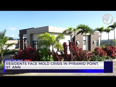 Residents Face Mold Crisis in Pyramid Point St. Ann | TVJ News