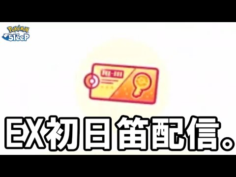 初日で終わらす新ワカクサ攻略。【ポケモンスリープ】