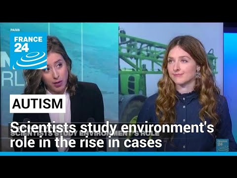 Scientists study environment's role in the rise in autism cases • FRANCE 24 English