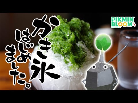 青ハイビスカスの花植えが鬼すぎる！かき氷デコピクミンのイベントスタート！【ピクミンブルーム/PikminBloom】