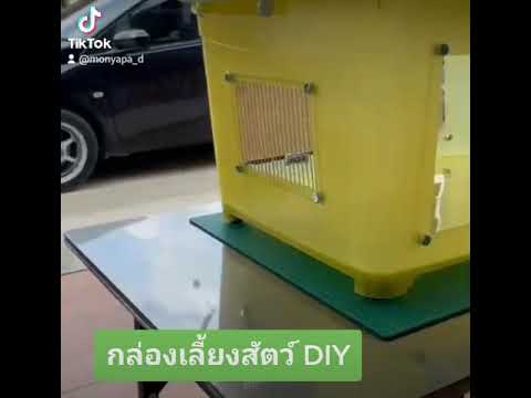 กล่องเลี้ยงสัตว์DIYอะคริลิคใ