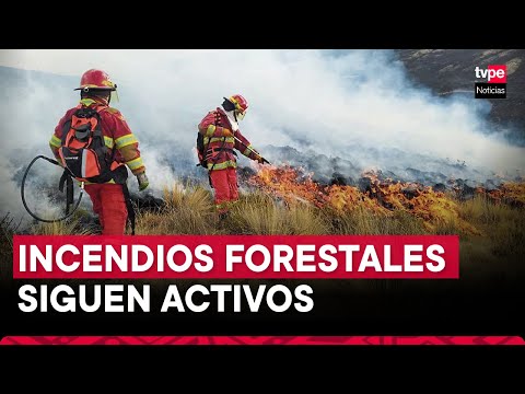 Incendios forestales en Perú: ¿cuál es la situación actual y qué regiones son las afectadas?