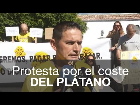 Marea amarilla en protesta por los sobrecostes en el sector platanero