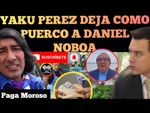 YAKU PÉREZ LO DEJA COMO PUERCO AL CANDIDATO DE MORENO DANIEL NOBOA NOTICIAS RFE TV