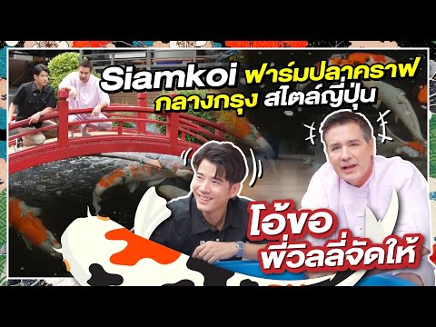 บุกอาณาจักรนายฝรั่งSiamkoiฟา