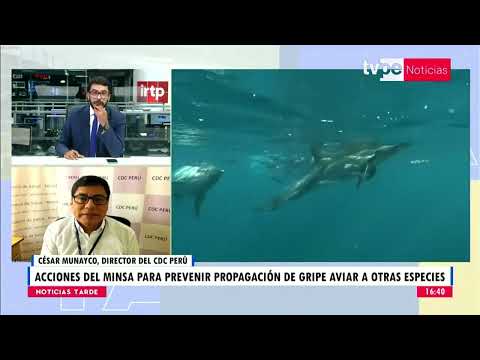 Noticias Tarde | César Munayco, director del CDC Perú - 7/02/2023