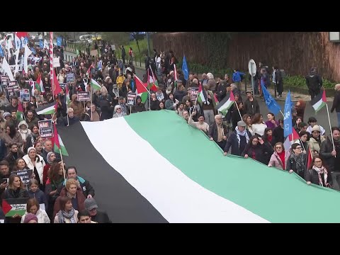 Thousands in Portugal mark 100th day of Israel-Hamas war and march in support of Palestinians