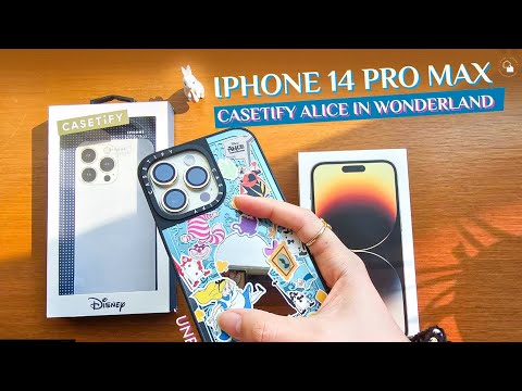 Iphone14ProMaxlCasetifyA