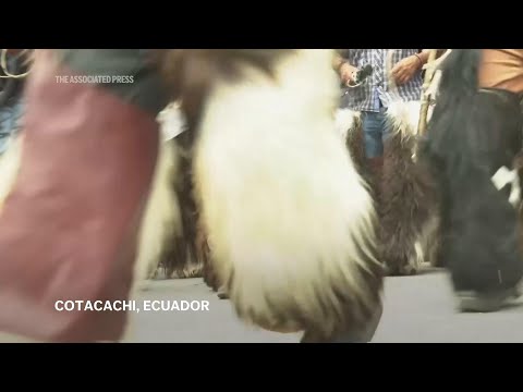 Pueblos indígenas danzan por horas para despertar a la tierra y en honor al Sol en Ecuador