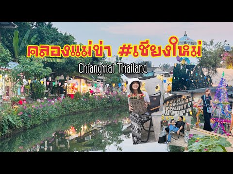 Koko Family คลองแม่ข่าเชียงใหม่thailand