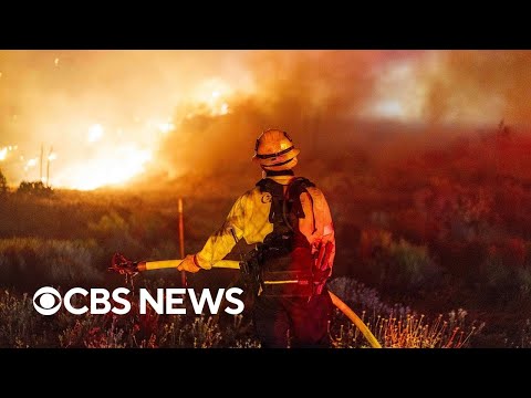 20 wildfires burn over 100,000 acres in western U.S.