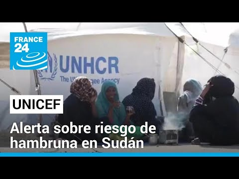 Unicef: 700.000 niños y niñas en riesgo de desnutrición severa en Sudán • FRANCE 24 Español