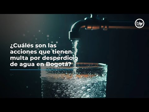 ¿Cuáles son las acciones que tienen multa por desperdicio de agua en Bogotá?