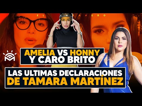 Amelia alcántara vs Honny y Caro Brito - Las últimas declaraciones de Tamara Martínez - El Bochinche