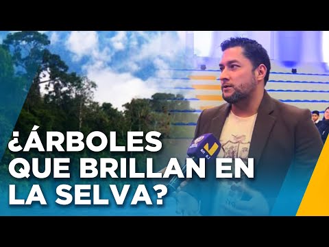 ¿Qué secretos esconden nuestros bosques? Latina te lo cuenta en documental sobre la selva peruana