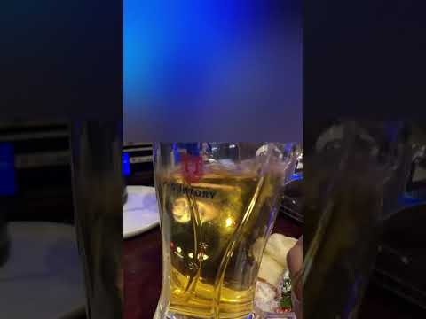 20251011 センちゃんオフ会 ハイライト➁