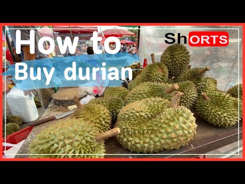 shorts-8Howtobuydurianfru