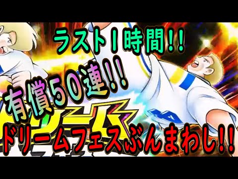 【たたかえドリームチーム】No.243 残り1時間のラストチャンス!有償50連ドリームフェスおかわりぶんまわし【キャプテン翼】【ガチャ】